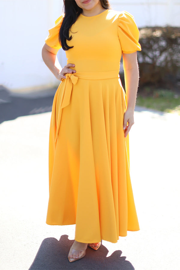 Elegant Princess Sleeve Belted Dress