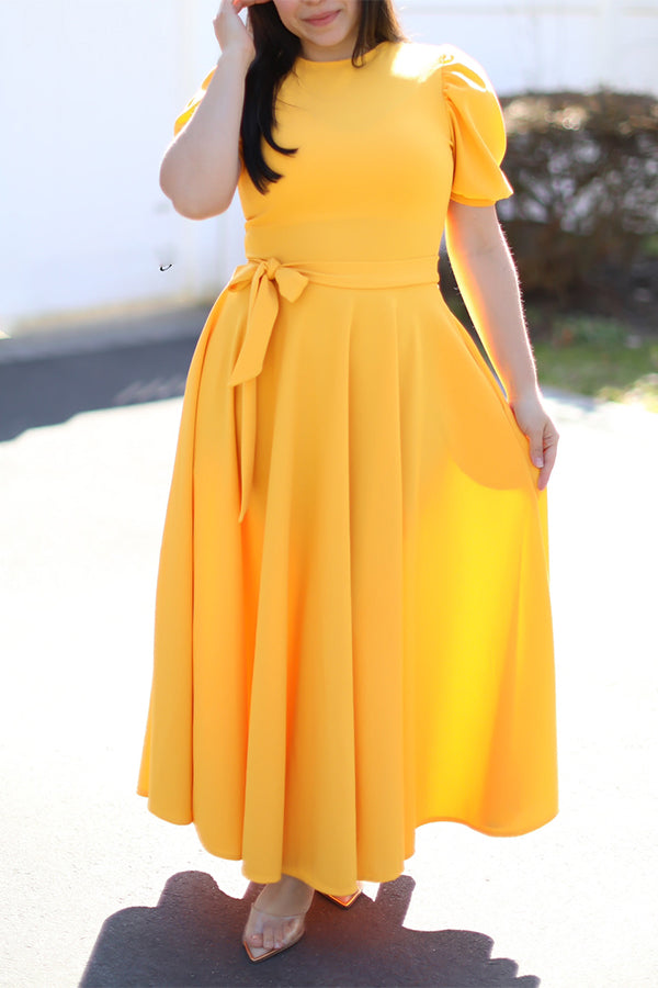 Elegant Princess Sleeve Belted Dress