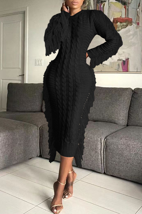 Stylish Fringe Trim Sweater Dress