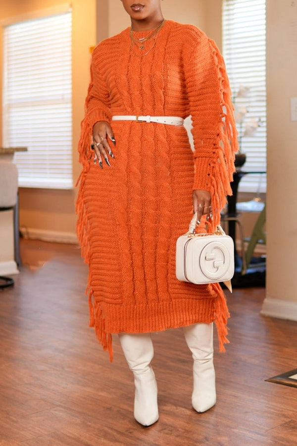 Stylish Fringe Trim Sweater Dress